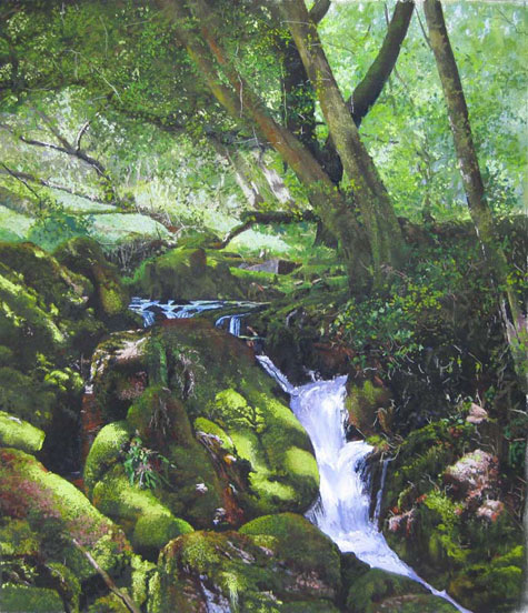art gallery devon